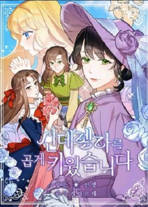 穿成灰姑娘的恶毒继母 穿成灰姑娘的恶毒继母